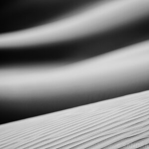 DSC 8515 BW