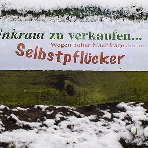 Unkrautbekämpfung