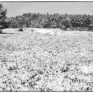 Winterheide