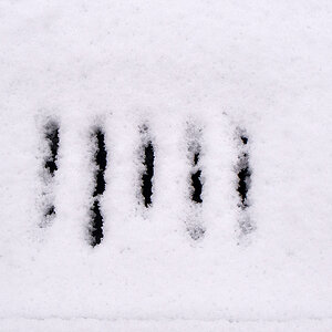 Schneegully