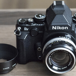 Nikon Df + Nikkor S Auto 1.4 50 pre Ai