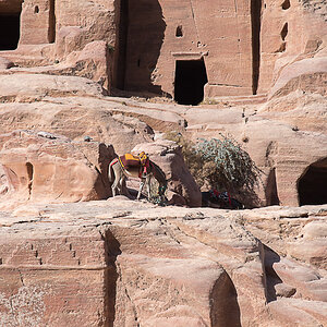 Jordanien Petra, Theaternekropole in Petra