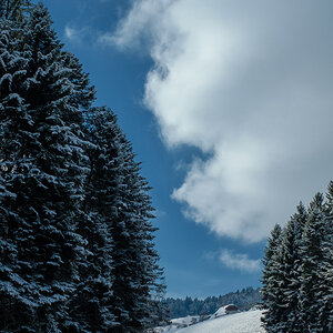 17XT2083 Bearbeitet