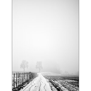 MorgenPZ1 5793