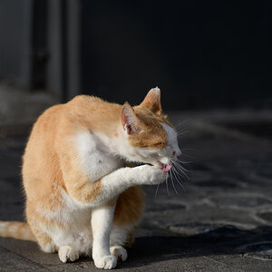 2018 02 23 17 50 36 DSC 2319