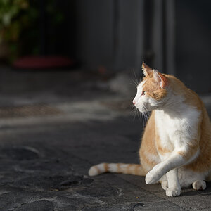 2018 02 23 17 51 41 DSC 2325