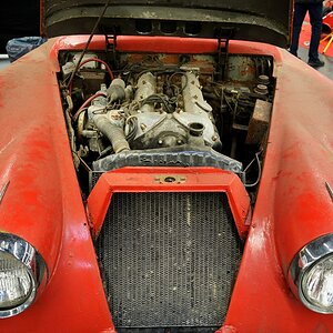 DSC 5675