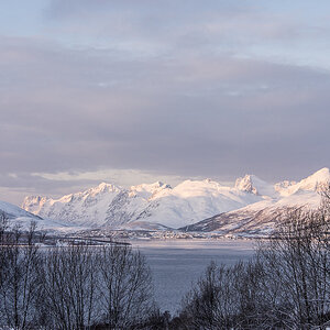 38 Kaldfjorden Hakoya