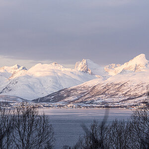 37 Kaldfjorden