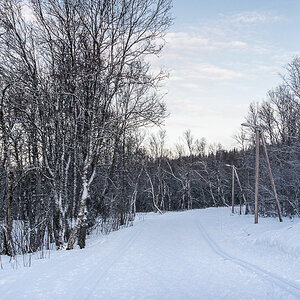 36 Tromso LLL