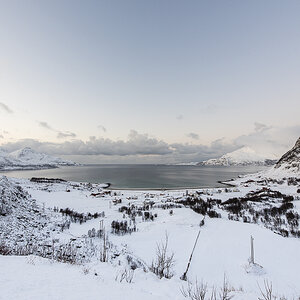 18 Grotfjord