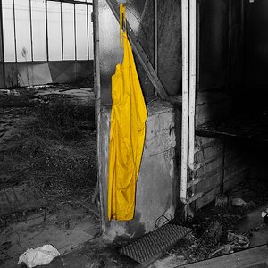Gärtnerei Scherpenseel DSC0236 00051