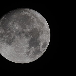 DSC 0007 003