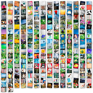365-Tage-Projekt 2017