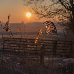 180207 Sonnenaufgang Landwürden 3