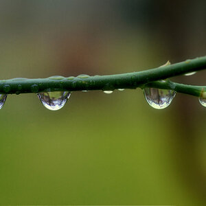 nur regen 1200