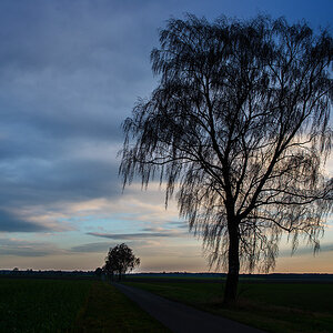 Dezembermorgen