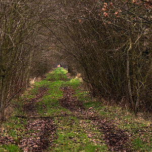 Moorweg