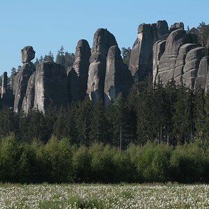 DSCN0117