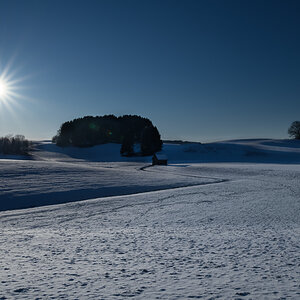 DSC3997 Bearbeitet 1