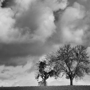 D75 4796 _Saargau_x