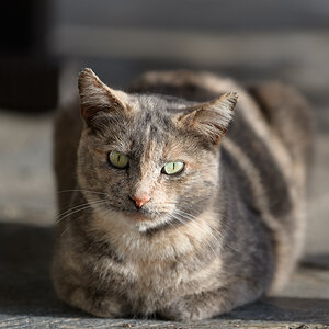 2018 02 23 17 46 35 DSC 2311