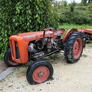 Field Boy  ESC0001 (144)