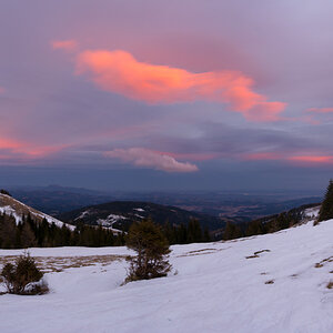 Panorama 7HF