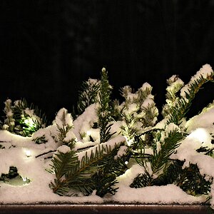 Compressed 0137