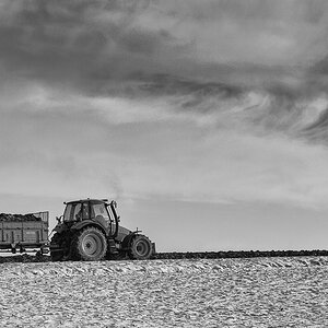 D75 4675x