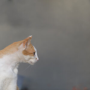 2018 02 22 18 19 45 DSC 2191