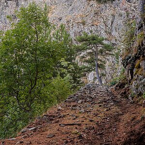 Korsika 2016 246