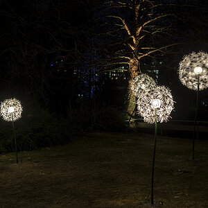 DSC 4839 NF
Winterleuchten Grugaprak Essen 2018