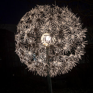 DSC 4842 NF
Winterleuchten Grugaprak Essen 2018