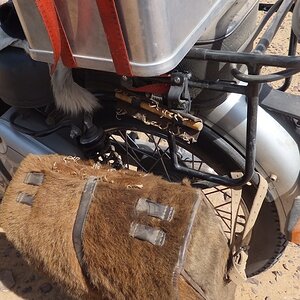Erg Chebbi   Tornister versagt