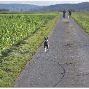20180101 Feld 001 A
mit Picasa Filmkorn simuliert