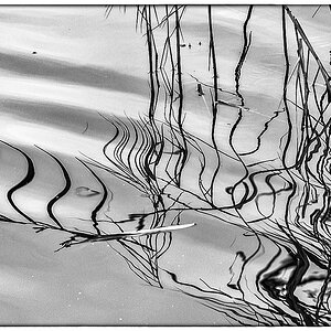 Wasserlinien