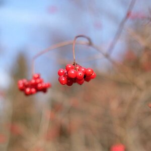 DSCF0423