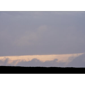 MorgenPZ1 5077