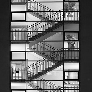Neuenheimer Feld 084 sw x