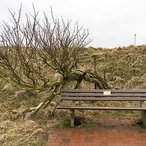 Helgoland Bank3