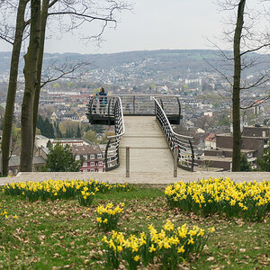 wowarich