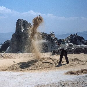 IMG 018
