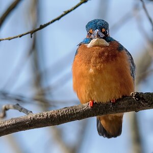 D50 1551 Ich hab Dich im Blick IA 3 2018