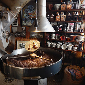 kaffee,nf,1