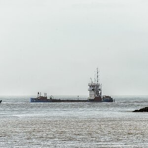 TZ ZIM 5662