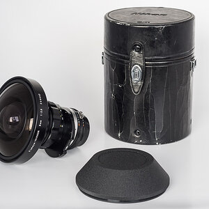 DSC7800