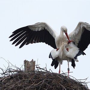 DSC 1221