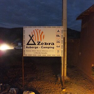 Zebra Camping Schild