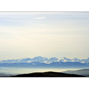 MorgenPZ1 6097